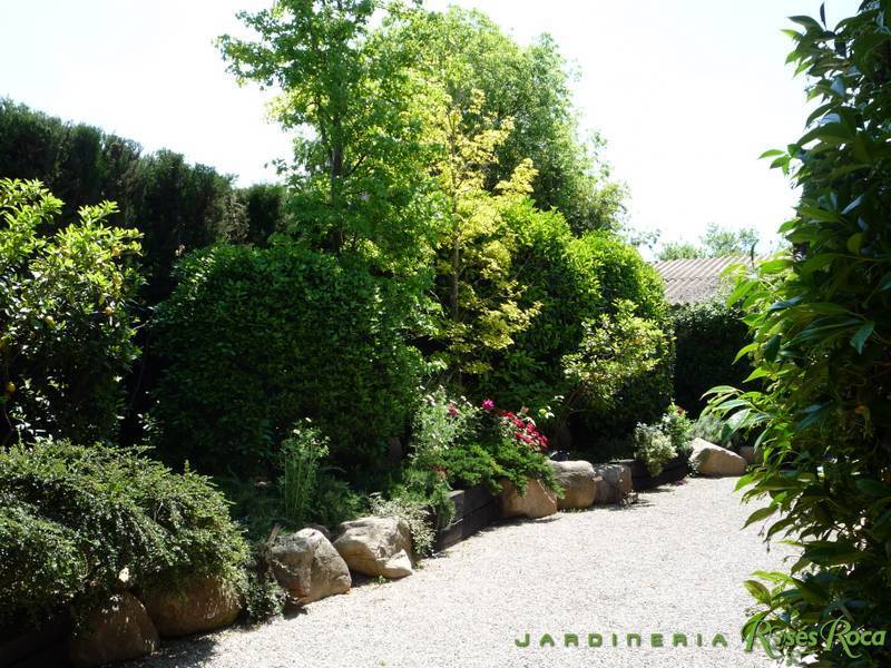 JardineriaRosesRoca19