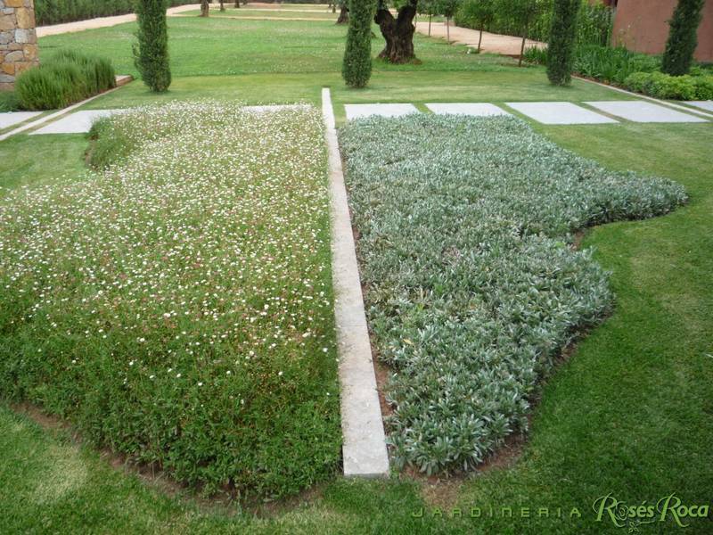 JardineriaRosesRoca2