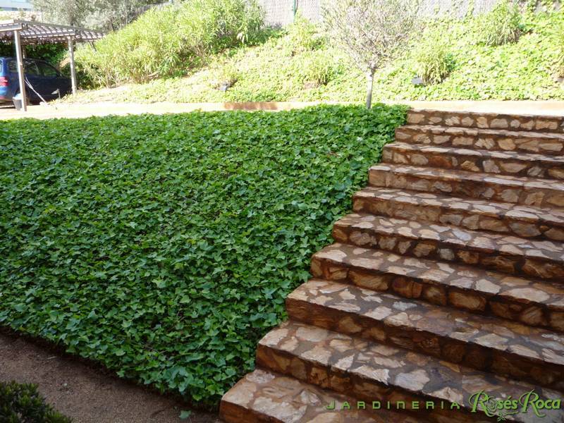 JardineriaRosesRoca22
