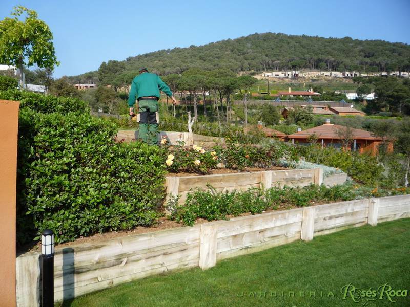 JardineriaRosesRoca25