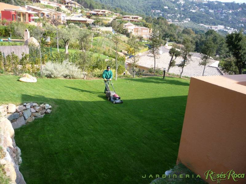 JardineriaRosesRoca26