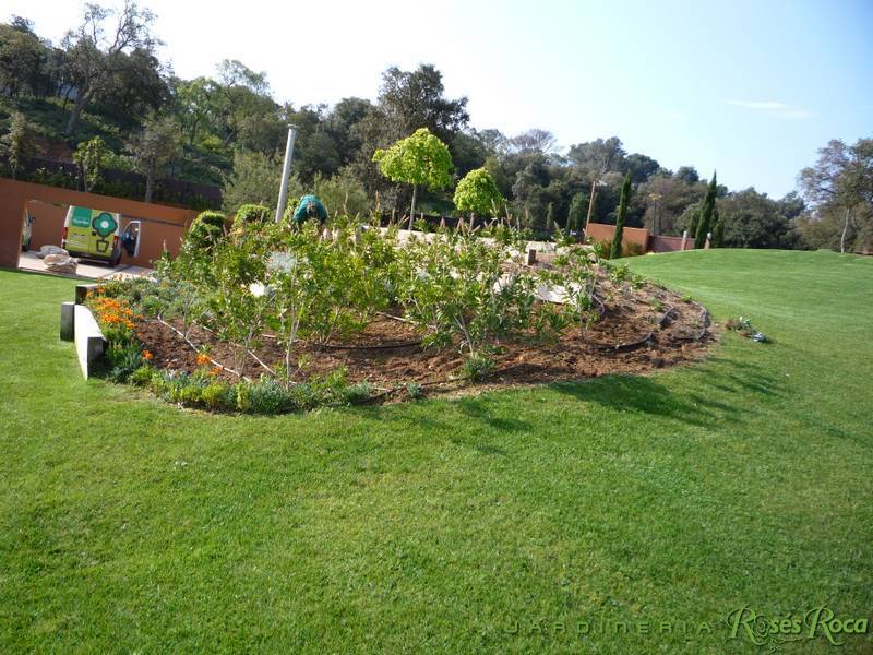 JardineriaRosesRoca28