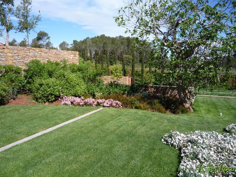 JardineriaRosesRoca29