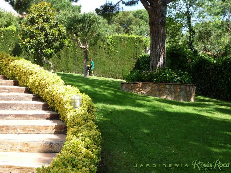 JardineriaRosesRoca3