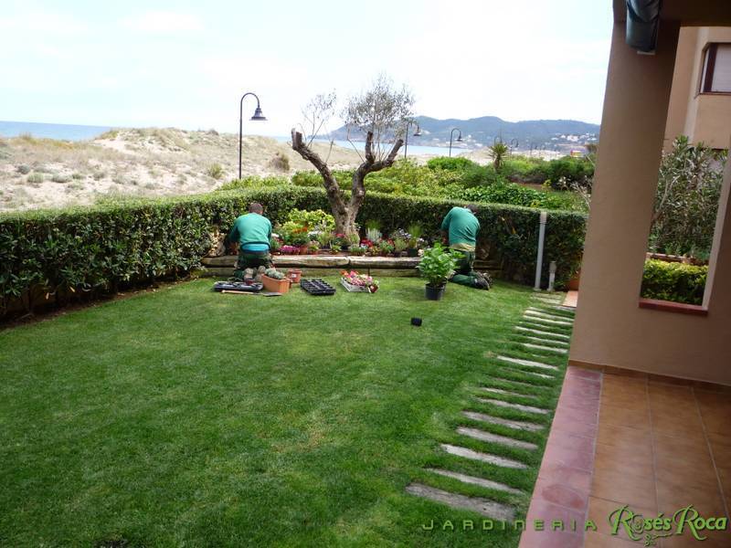 JardineriaRosesRoca31