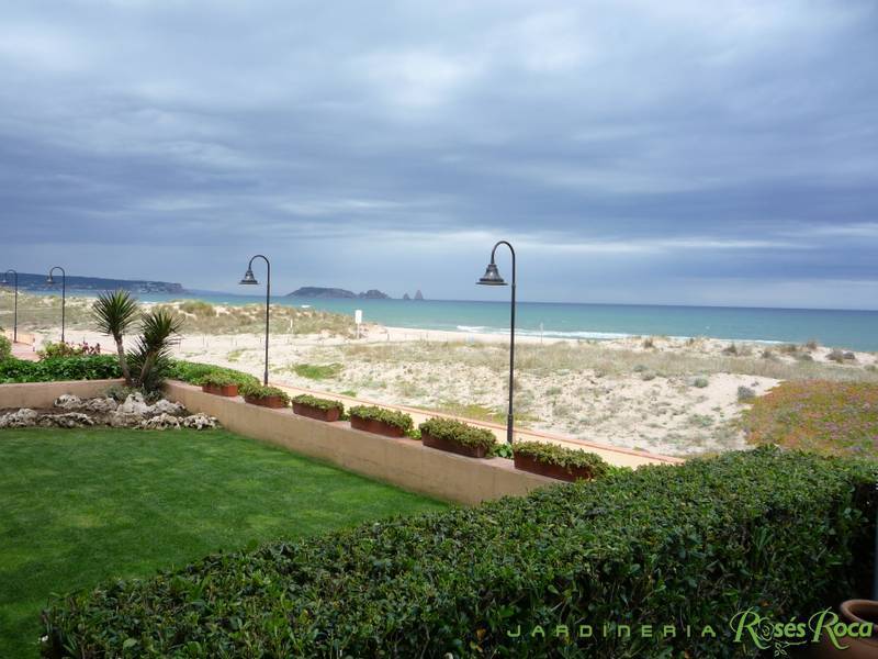 JardineriaRosesRoca32