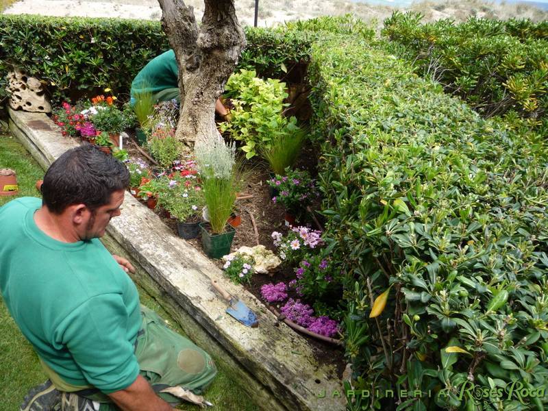 JardineriaRosesRoca34
