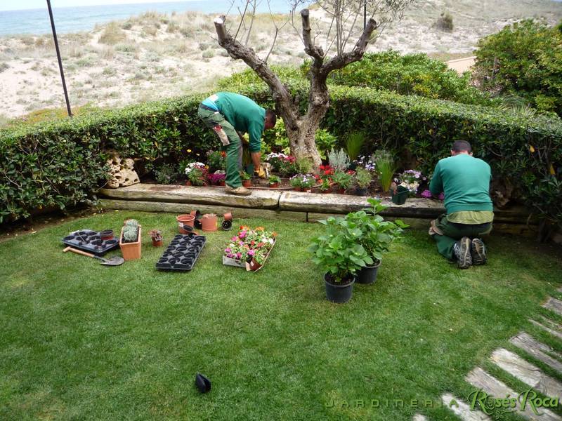JardineriaRosesRoca35