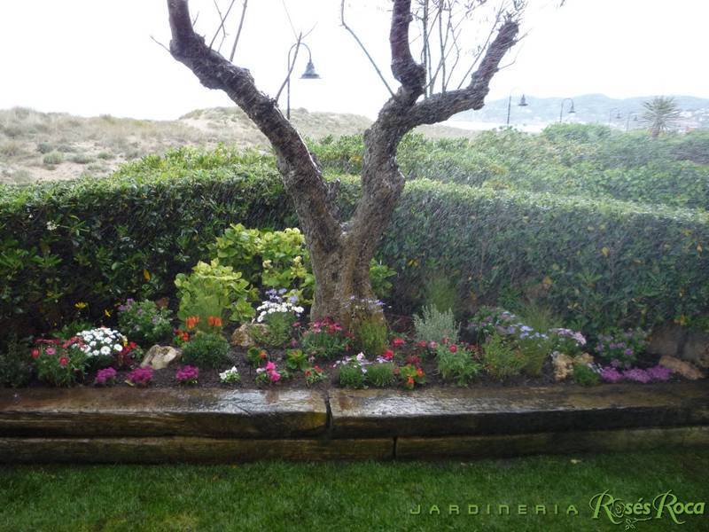 JardineriaRosesRoca36