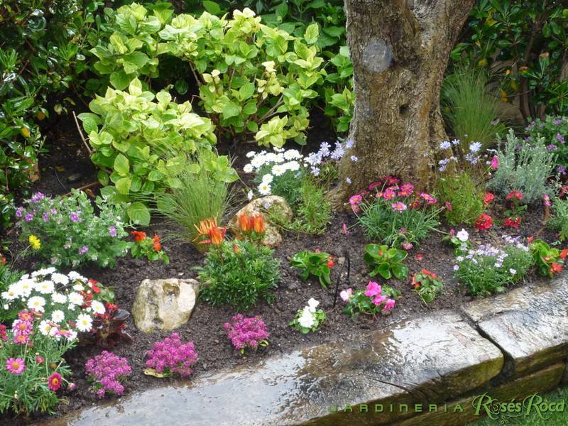 JardineriaRosesRoca37