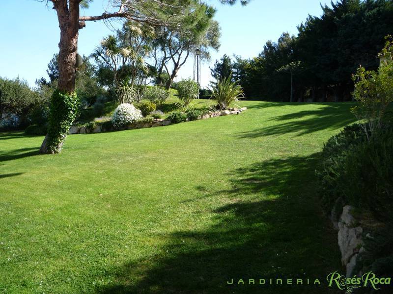 JardineriaRosesRoca38