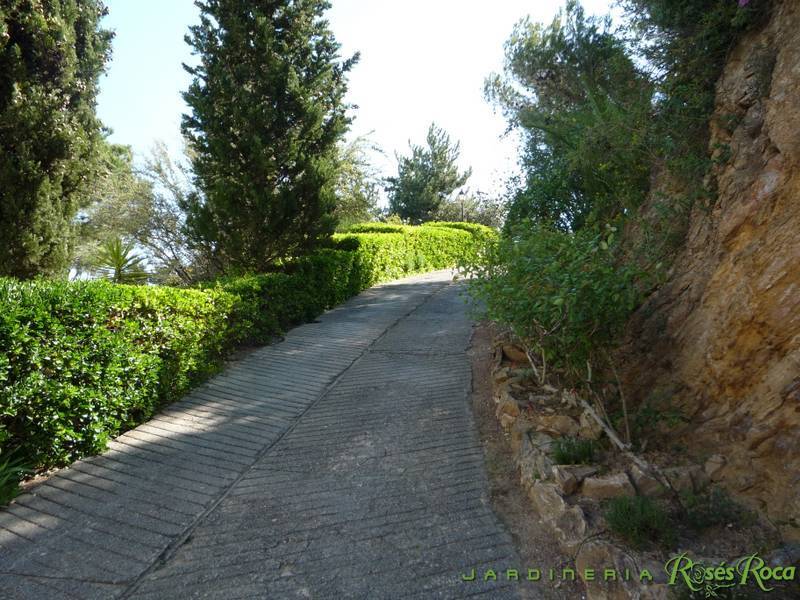 JardineriaRosesRoca40