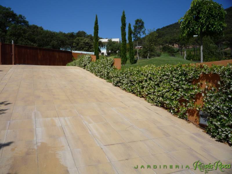 JardineriaRosesRoca41