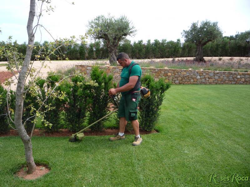 JardineriaRosesRoca43