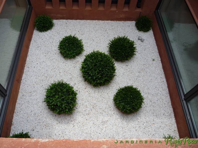 JardineriaRosesRoca45