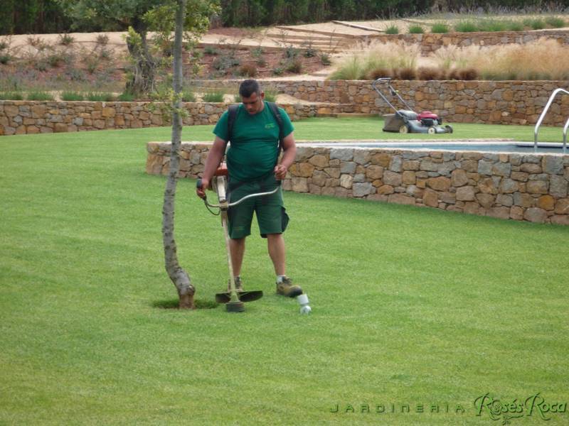 JardineriaRosesRoca48