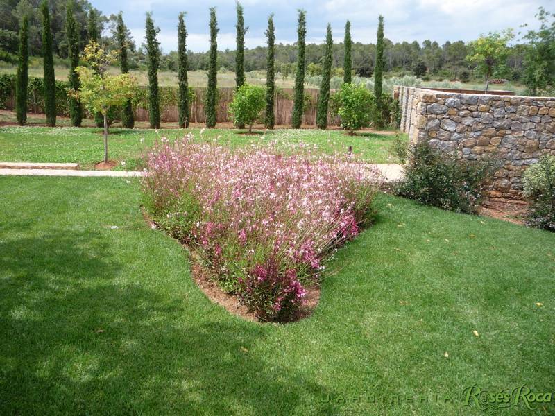 JardineriaRosesRoca54