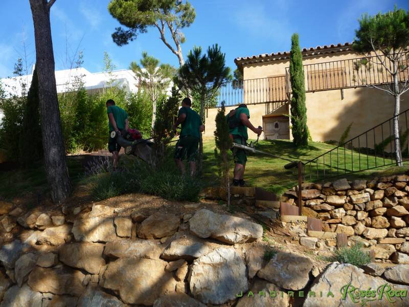 JardineriaRosesRoca55