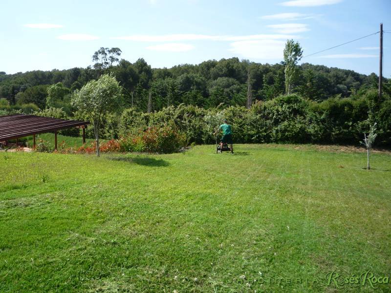 JardineriaRosesRoca57