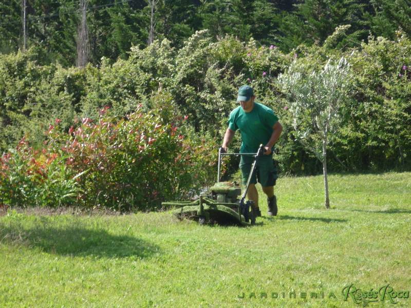 JardineriaRosesRoca58