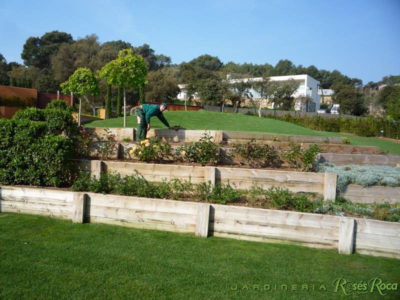 JardineriaRosesRoca6