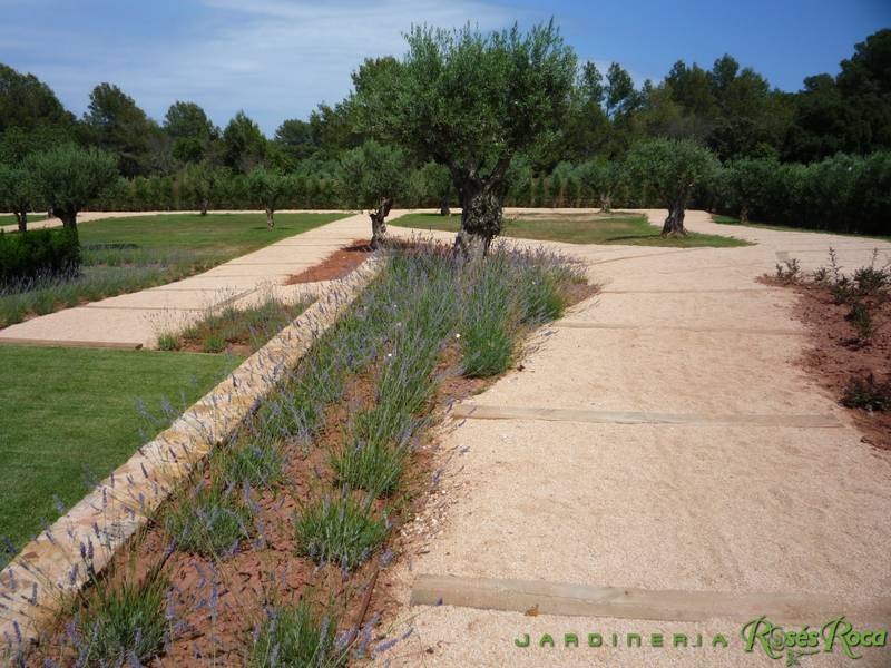 JardineriaRosesRoca60