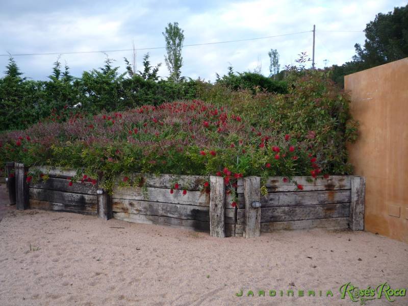 JardineriaRosesRoca62