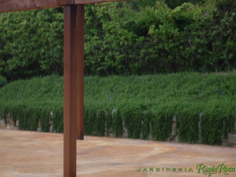 JardineriaRosesRoca63