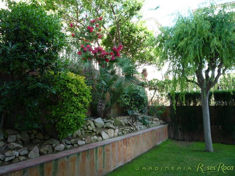 JardineriaRosesRoca64