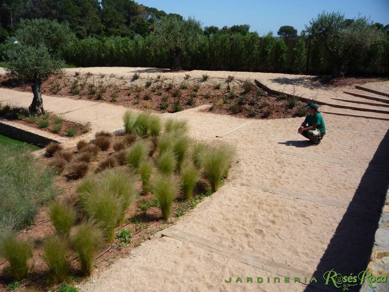 JardineriaRosesRoca7