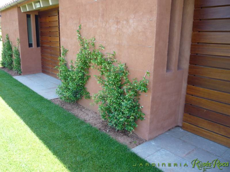 JardineriaRosesRoca71