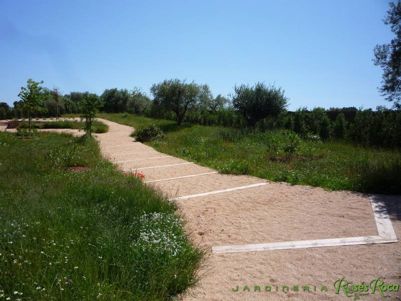 JardineriaRosesRoca74