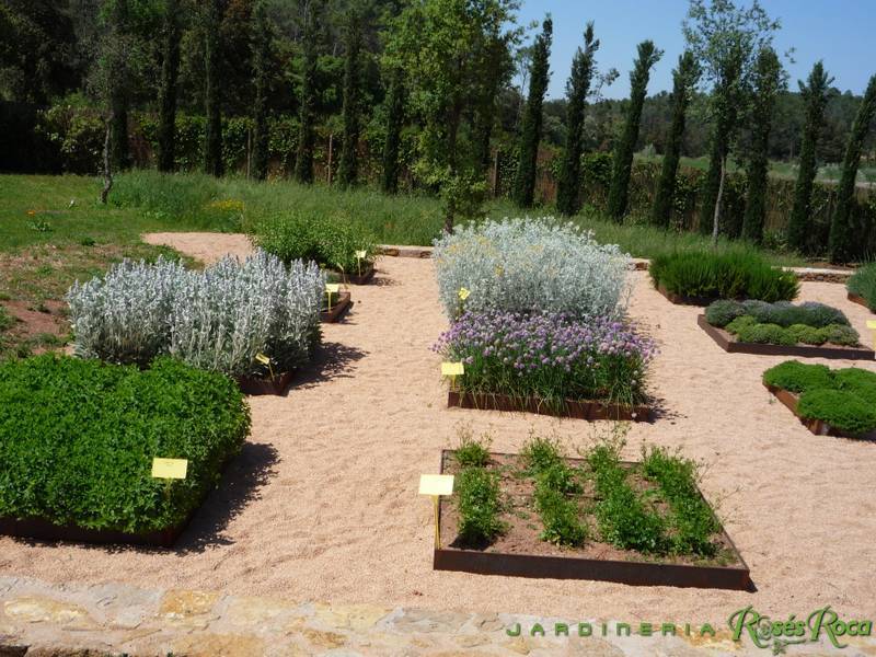 JardineriaRosesRoca8