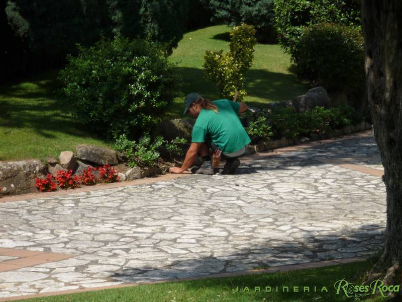 JardineriaRosesRoca80