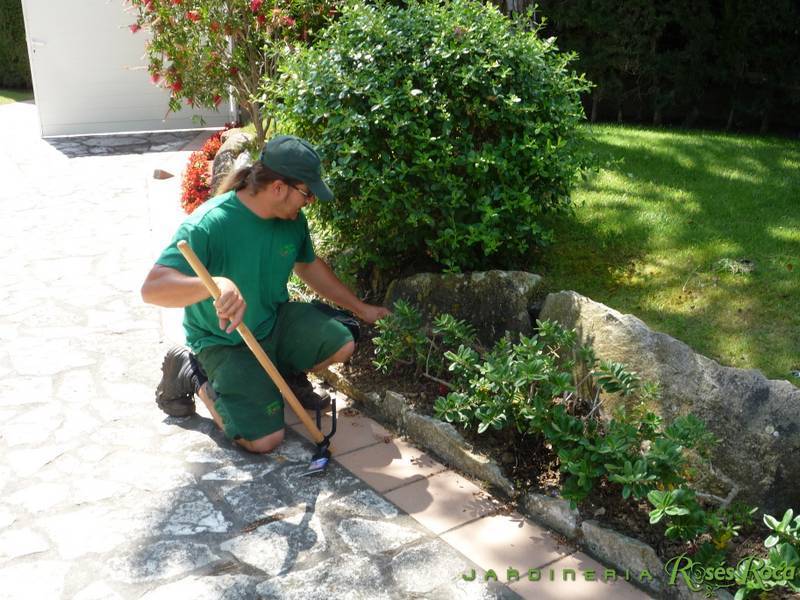 JardineriaRosesRoca81
