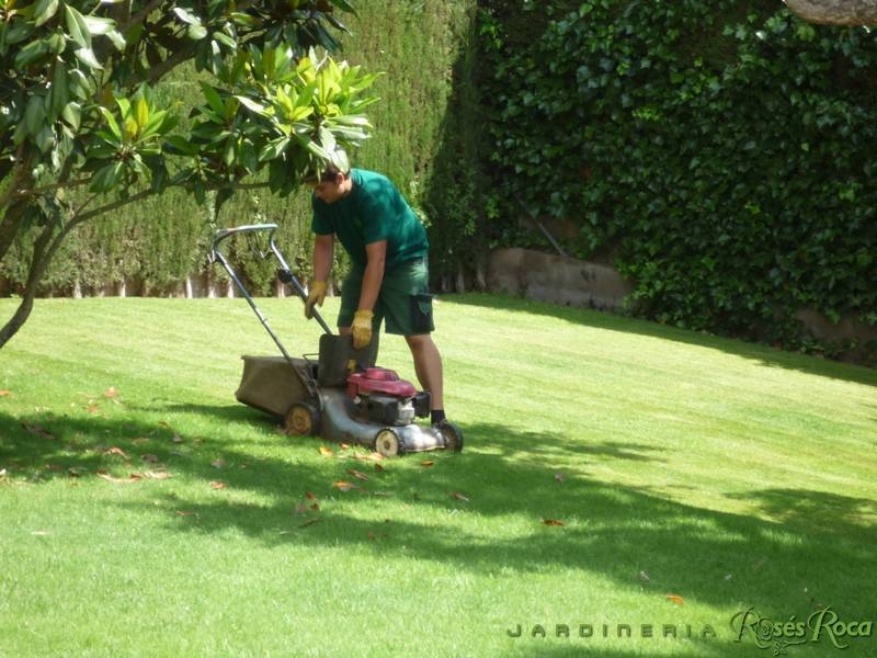 JardineriaRosesRoca82
