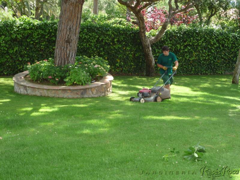 JardineriaRosesRoca83