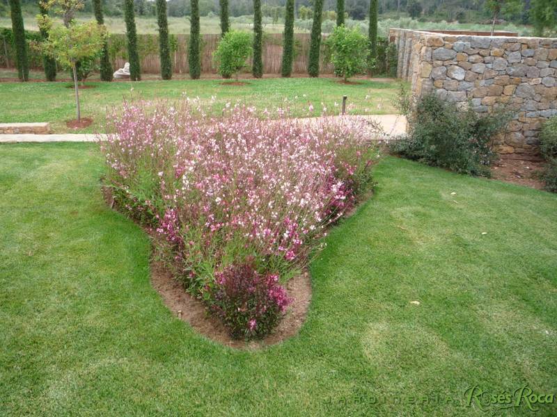 JardineriaRosesRoca85
