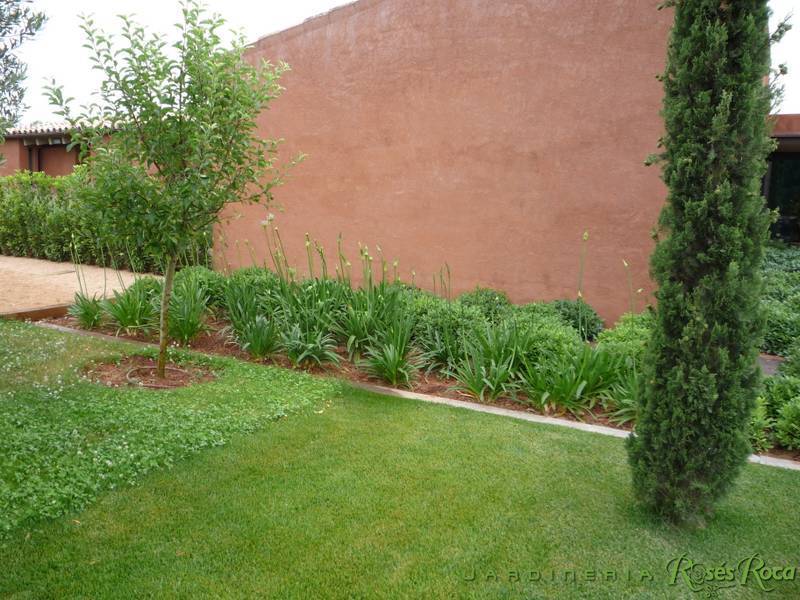 JardineriaRosesRoca87