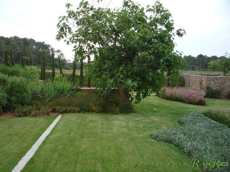 JardineriaRosesRoca91