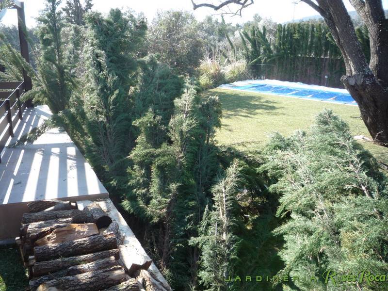 JardineriaRosesRoca94