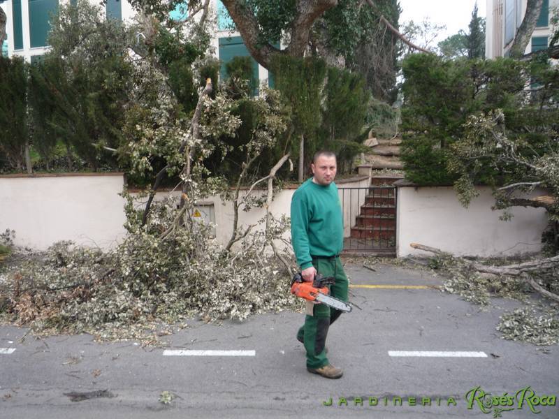 JardineriaRosesRoca14