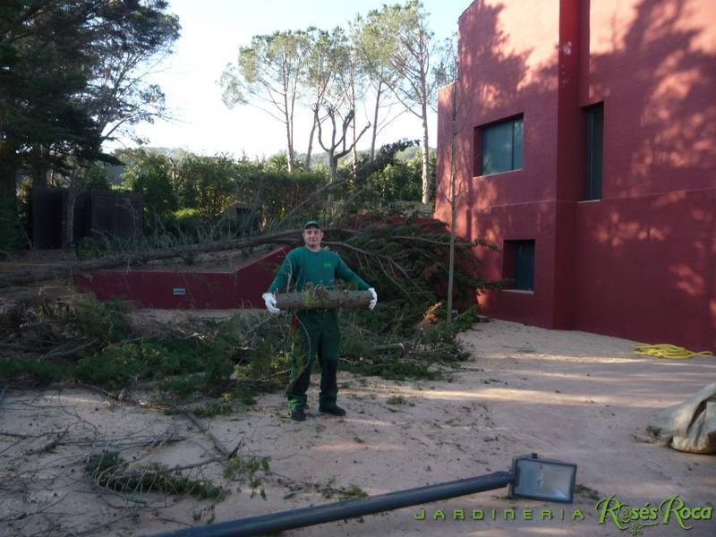 JardineriaRosesRoca20