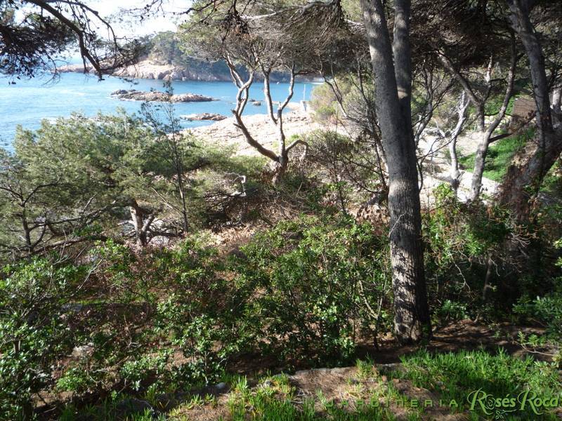 JardineriaRosesRoca9